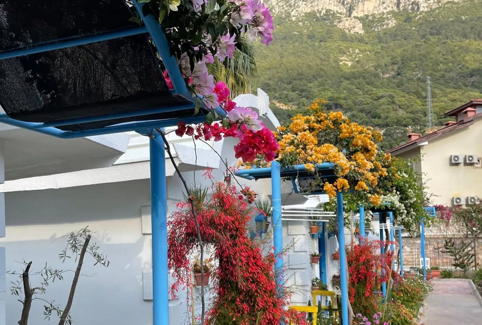 Sunmed Lodge Oludeniz Turkey