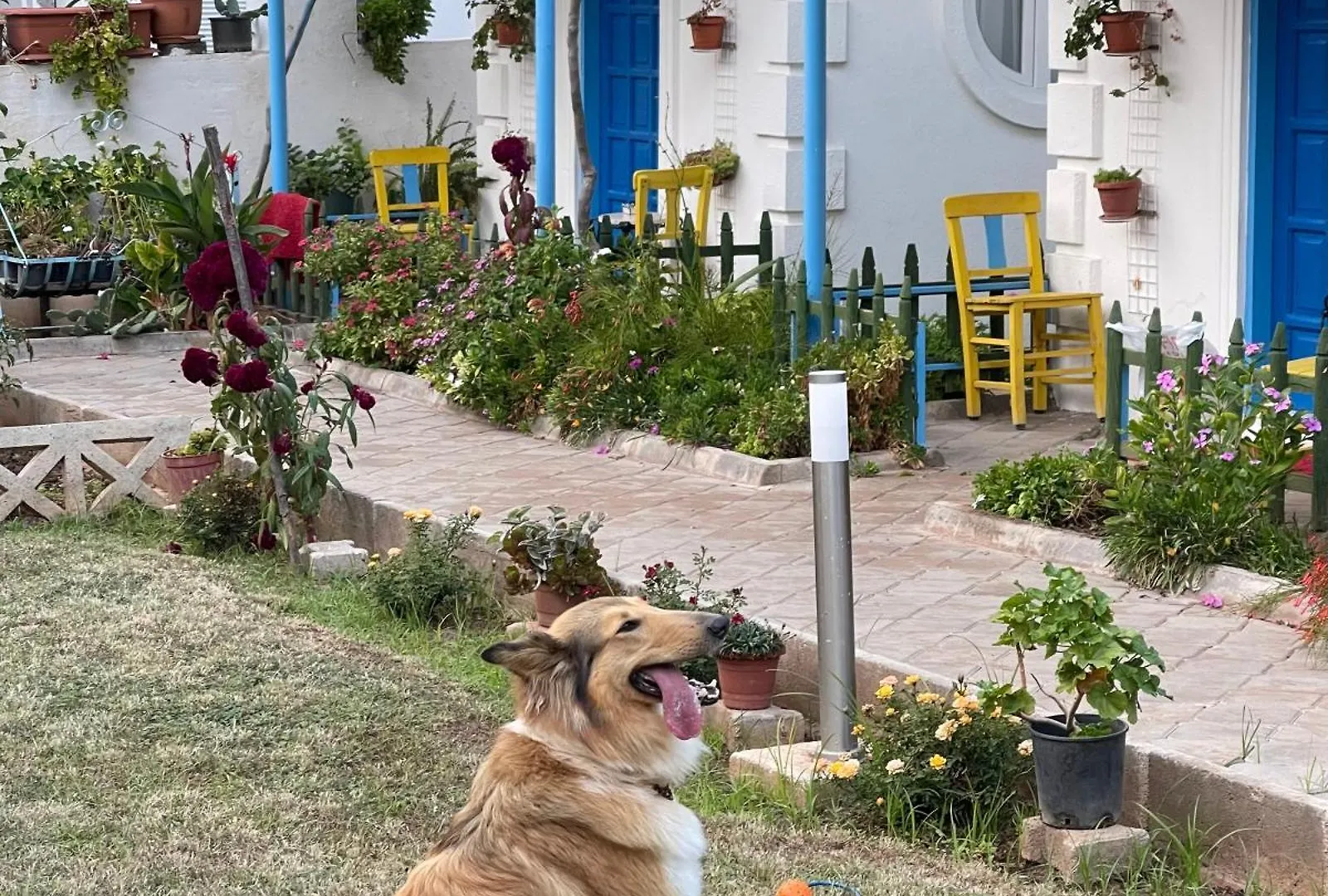 Sunmed Lodge Oludeniz