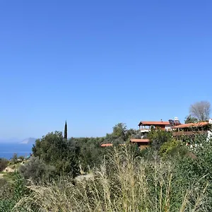 Проживание в семье Casa Roja, Cedit